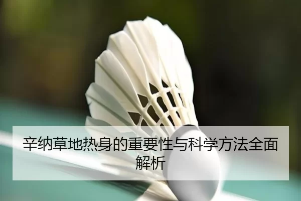 辛纳草地热身的重要性与科学方法全面解析